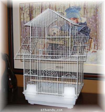 Annonces classees img:preview cage a oiseaux