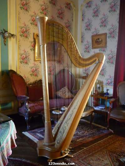 Annonces classees img:preview harpe Atlantide Concert