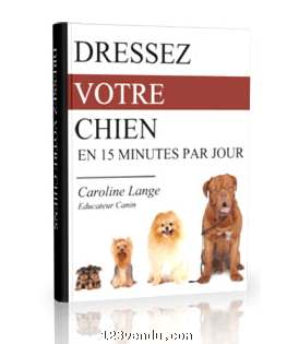 Annonces classees img:preview Comment VOUS POUVEZ DRESSER Votre Chien !