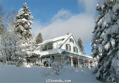 Annonces classees img:preview Magnifique maison St-Adolphe d